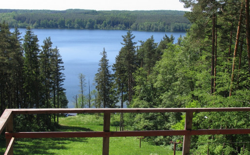 12_Regykla Vaizdas į Romintos girią 1 (1).jpg